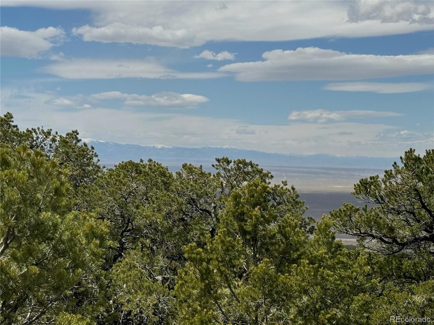 338 Cedar Ridge Rd, Mosca, CO 81146 - photo 1