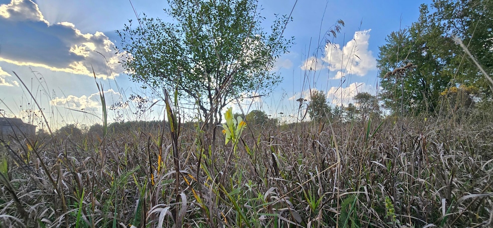 8692 E Baseline Rd, Mount Pleasant, MI 48858 - photo 1