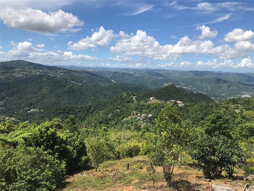 Km 11.2 Calle Brasil, Caguas, PR 00725 - photo 1