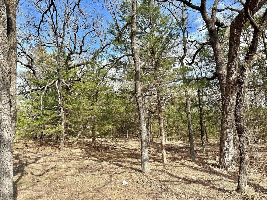 2.26 Acres County Road 262, Gainesville, TX 76240 - photo 1