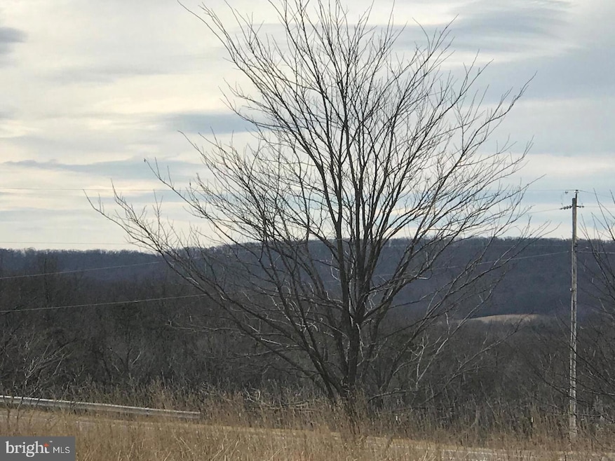 Lot 39 N Frederick Pike, Cross Junction, VA 22625 - photo 1