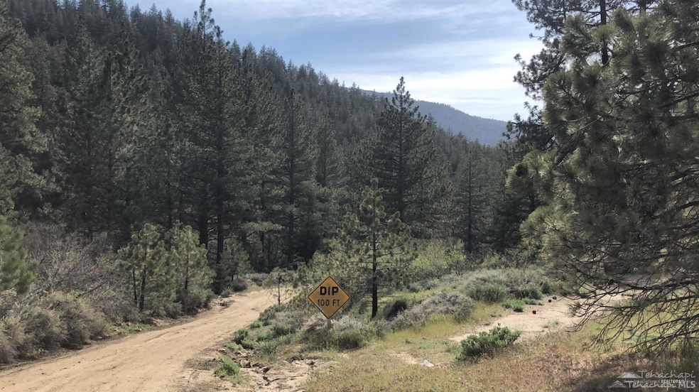 16401 Jungfrau Way Lot 9, Tehachapi, CA 93561 - photo 1