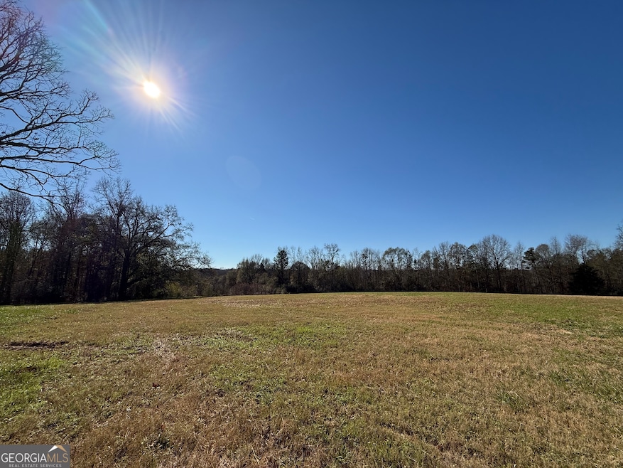 0 E Deer Run Trail unit 10651119, Lavonia, GA 30553 - photo 1