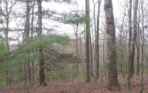 LT 4 Hillbilly Hollow, Blue Ridge, GA 30513 - photo 1