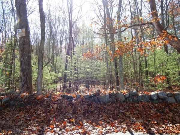 9 Maple St, Douglas, MA 01516 - photo 1