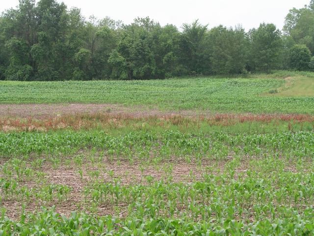 4271 S Woodcrest Ridge Dr, West Bend, WI 53095 - photo 1