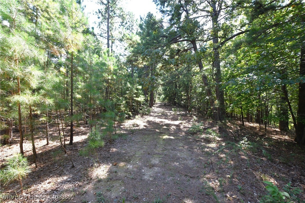 9116 E Clear Creek Rd, Flint Creek, OK 74347 - photo 1