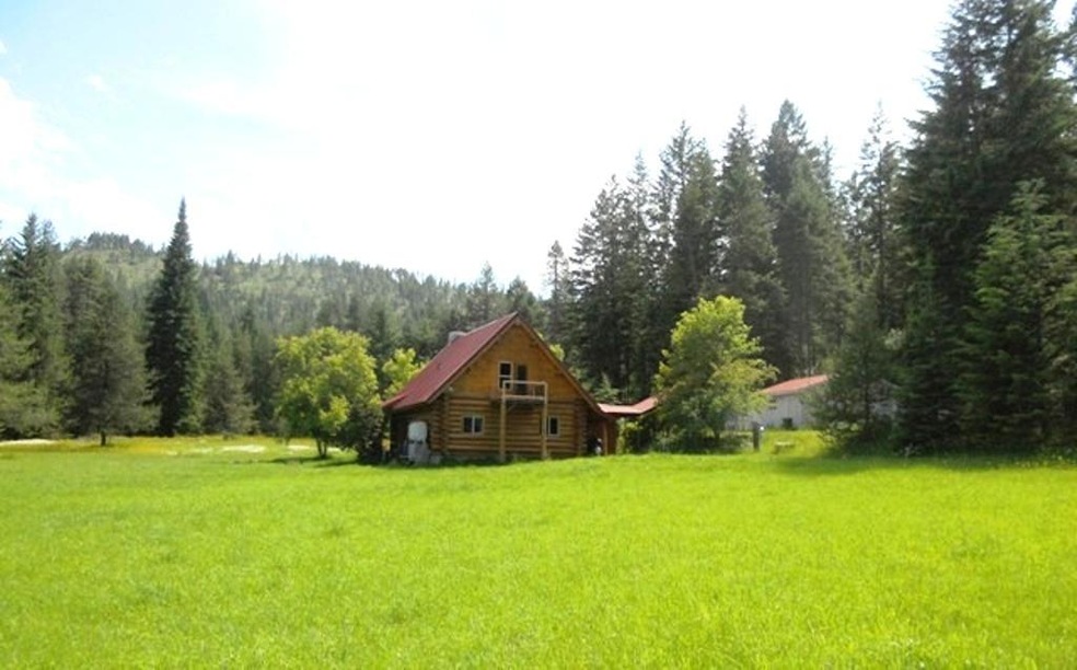 The cabin in the meadow