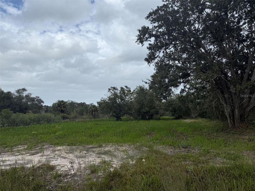 17915 NW 290th St, Okeechobee, FL 34972 - photo 1