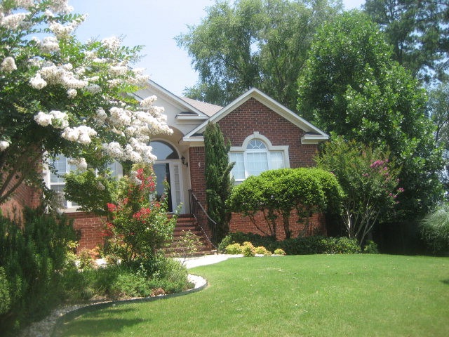 Main View