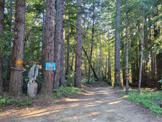 1 Skyview Rd, Boulder Creek, CA 95006 - photo 1