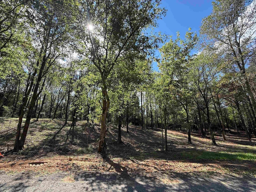 #12B County Road 1123, Vinemont, AL 35179 - photo 1