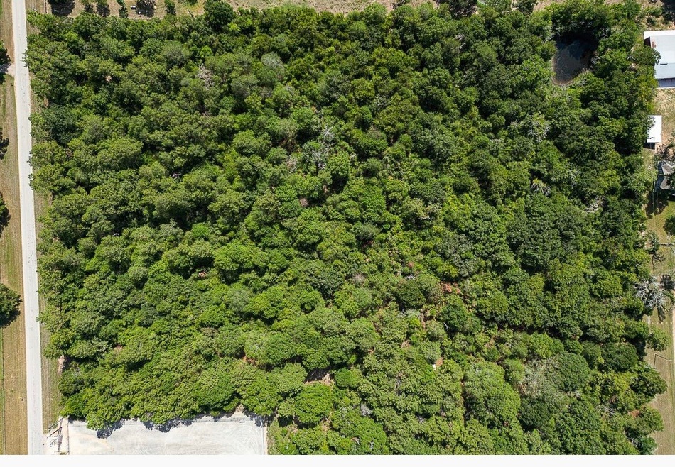 25713 Joseph Rd, Hockley, TX 77447 - photo 1