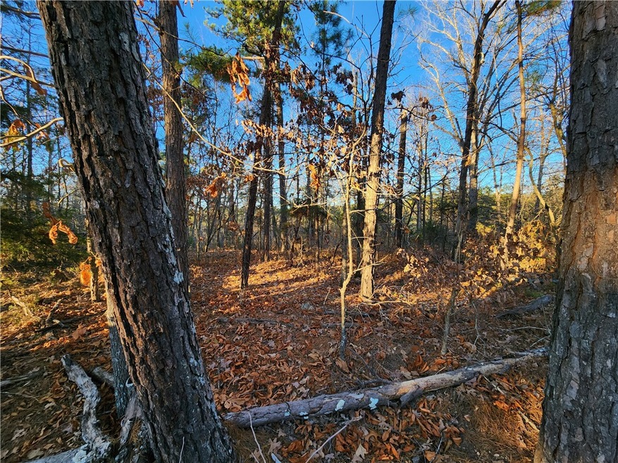 3 Zennor Ln, Bella Vista, AR 72715 - photo 1