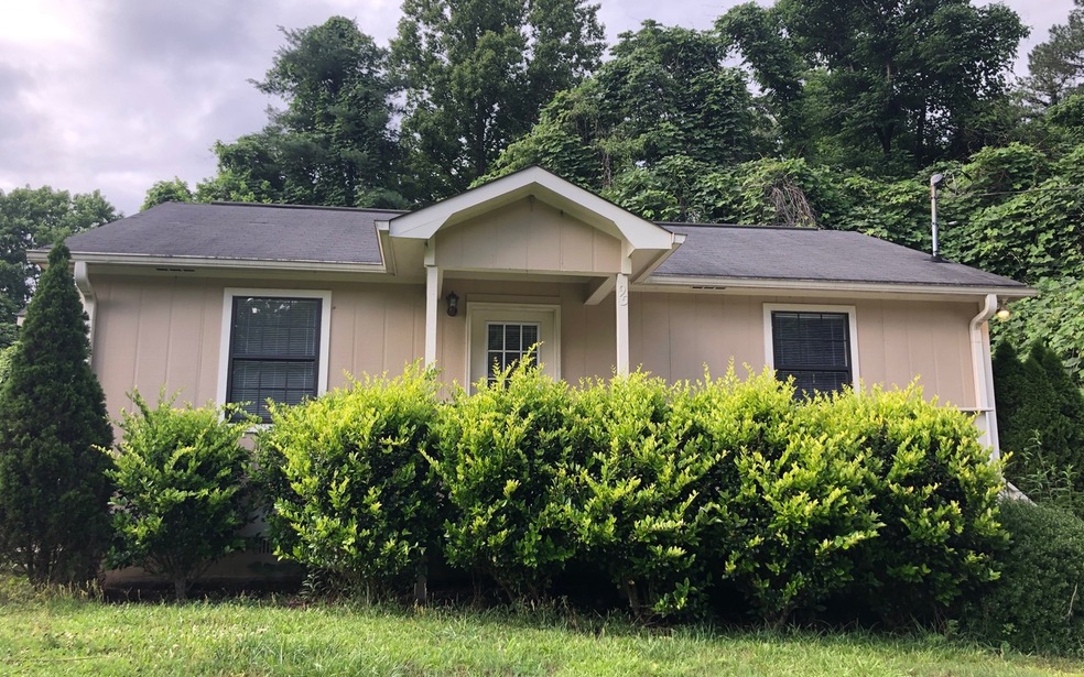 95 E Spring St, East Ellijay, GA 30540 - photo 1