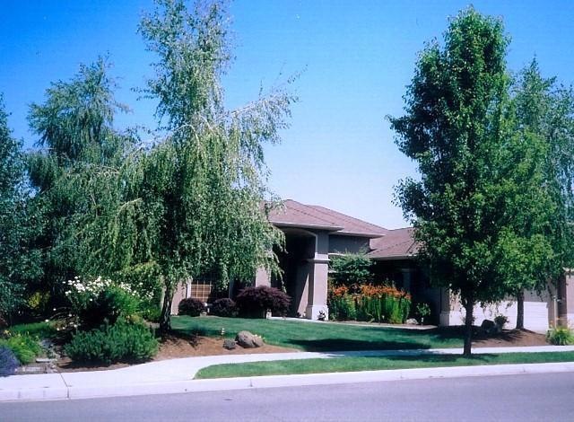 Primary Photo
