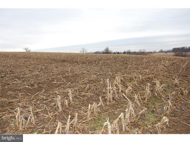 7923 Allendale Rd, Hamburg, PA 19555 - photo 1