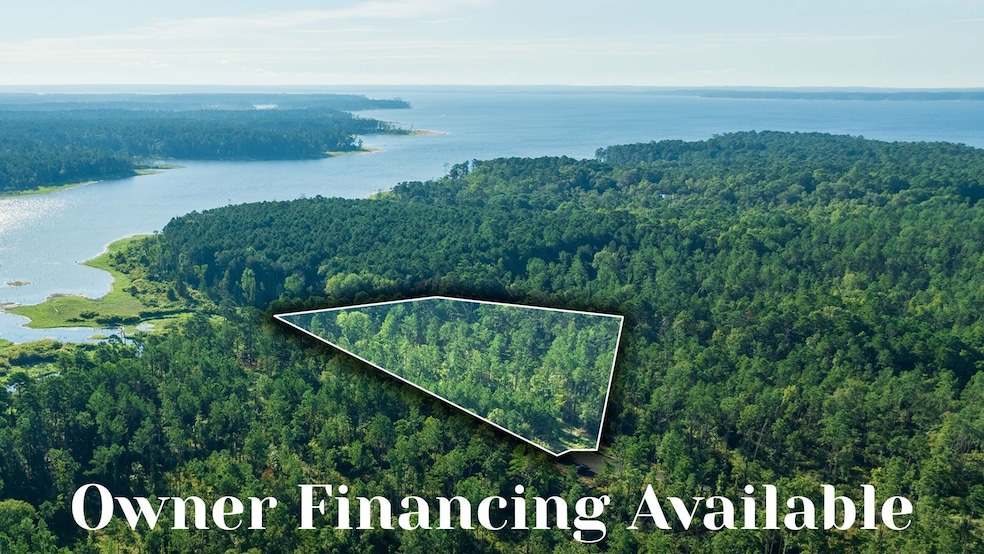 Fm 3173, Westwood, TX 75951 - photo 1