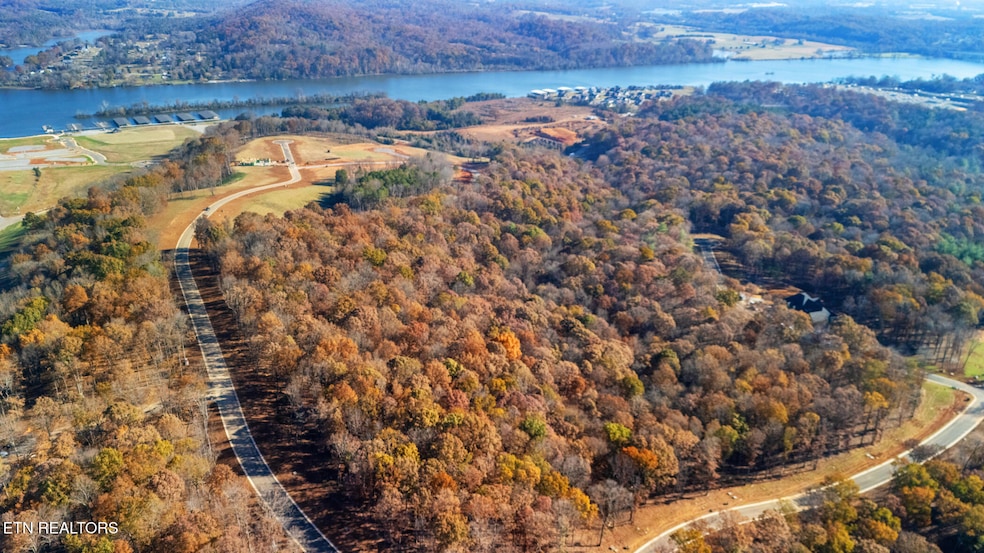 dji_20251112100243_0727_d