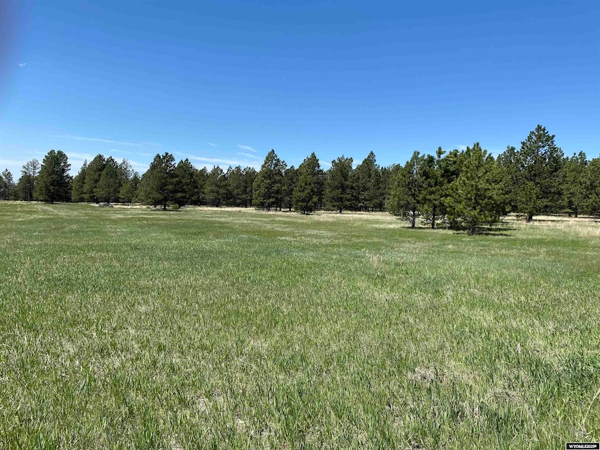 46B Two Pipe Trail, Sundance, WY 82729 - photo 1