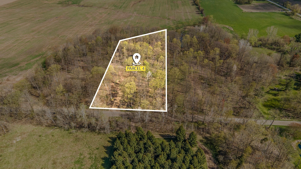 Lot 4