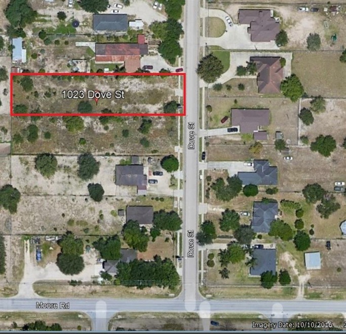 1023 Dove St, Alamo, TX 78516 - photo 1