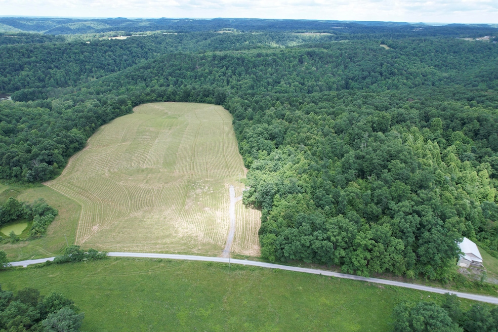 DJI_0004