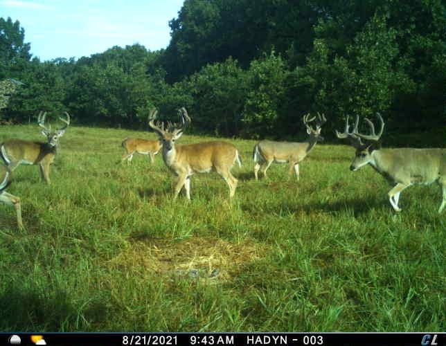36293 S 565 Rd, Jay, OK 74346 - photo 1