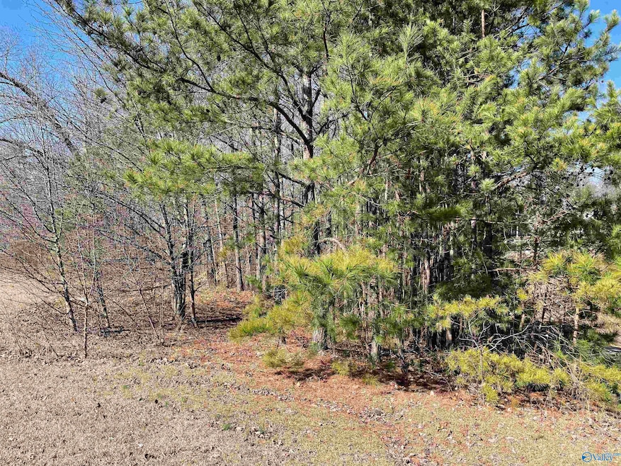 For Sale $14,500 • Co-Listing Agent