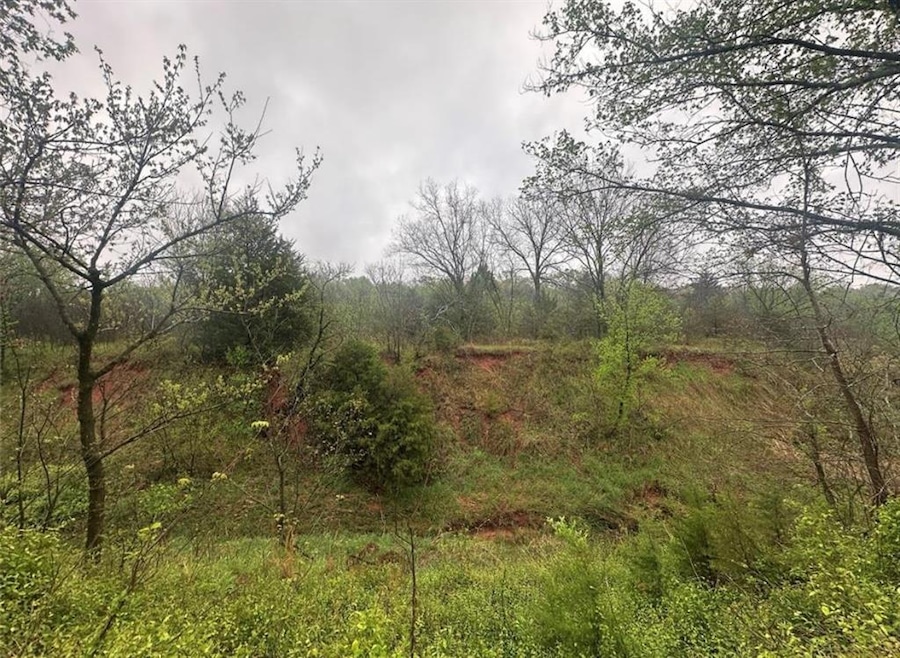 00 Okay S 40 Acres Rd, Tecumseh, OK 74873 - photo 1