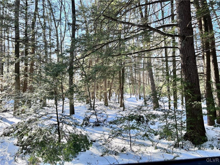 769 Yellow Run Rd, Jim Thorpe, PA 18229 - photo 1