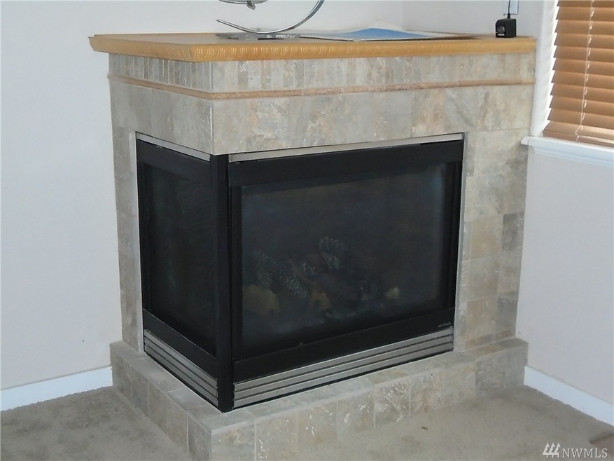 4159 Britton Loop Rd, Bellingham, WA 98226 - photo 1