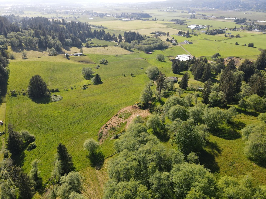 DJI_0132