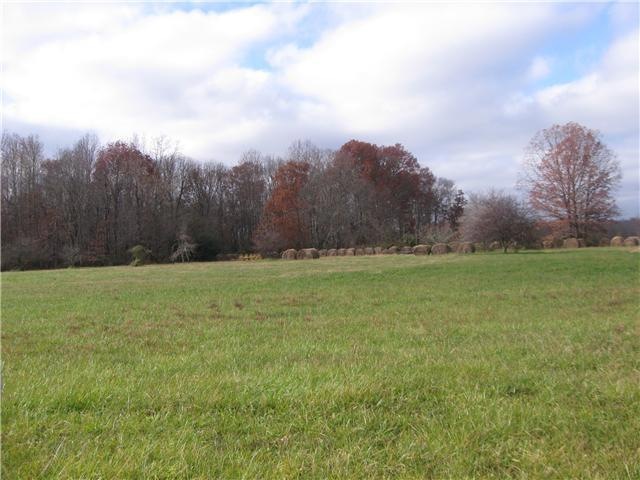 0 Fredonia Rd unit RTC1484852, Manchester, TN 37355 - photo 1