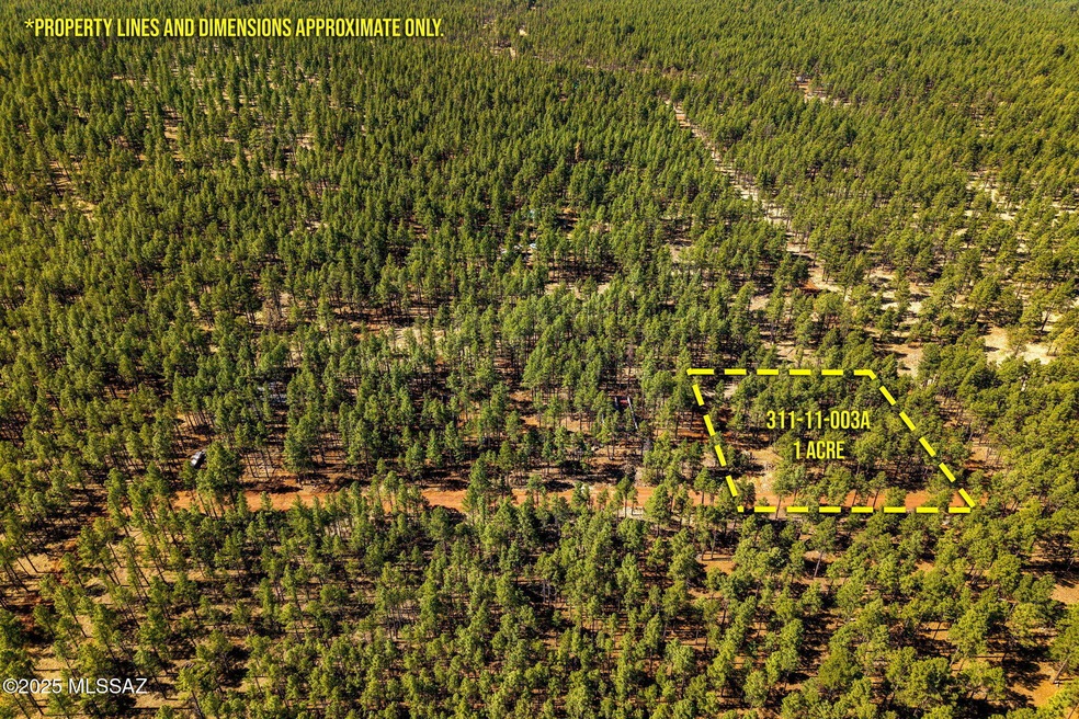 915BirdsongWay-Lakeside-AZ-ParcelLines-2