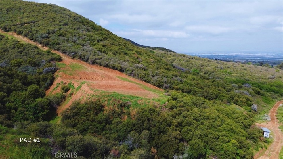 1 Plummers Ln, Mentone, CA 92359 - photo 1