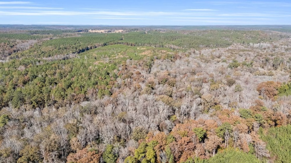 0000 Iron Bridge Rd, Sulligent, AL 35586 - photo 1