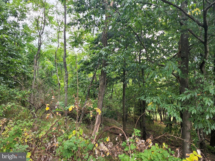 0 N Laurel Avenue - Lot 38 unit WVMO2002220, Berkeley Springs, WV 25411 - photo 1