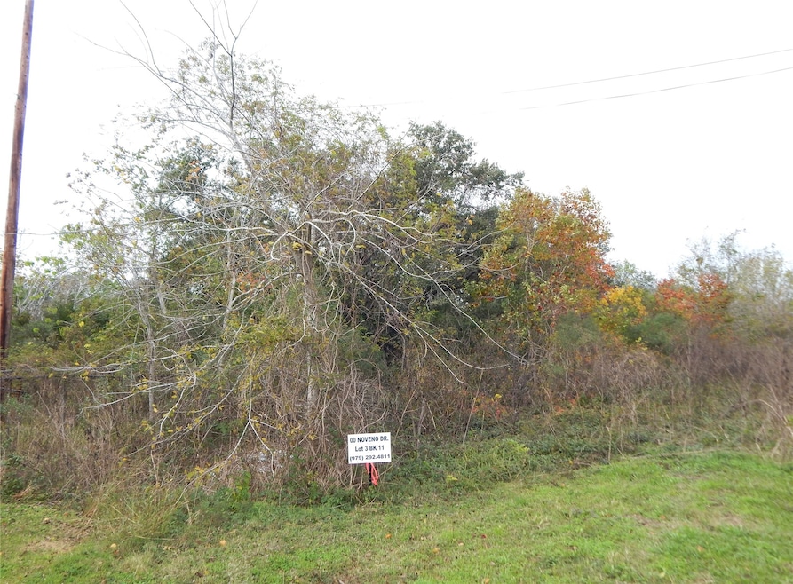 00 Noveno Dr, Brazoria, TX 77422 - photo 1