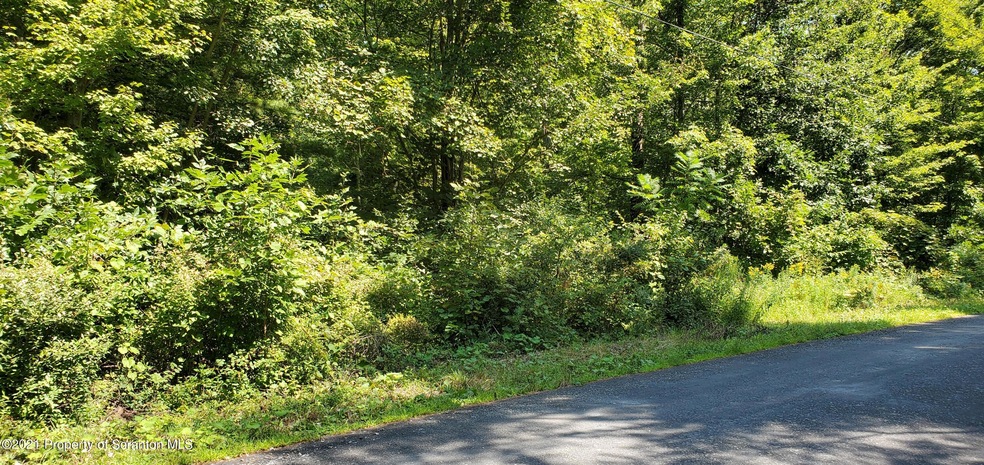 0 Fitch Corners Rd, Tunkhannock, PA 18657 - photo 1