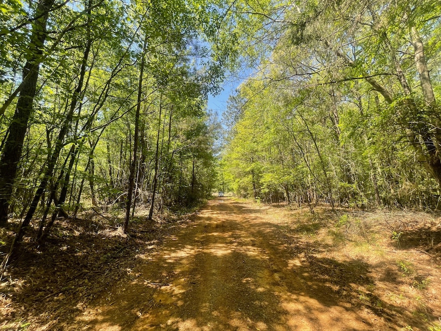 Looking toward Fuller Cemetery Road locked gated entry