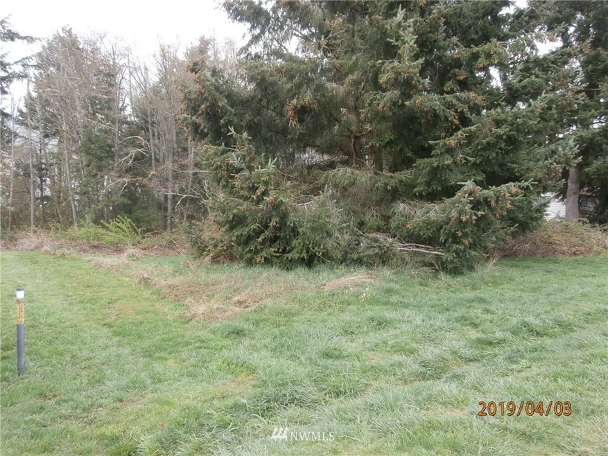 257 XX 99th Ave E unit Lot26, Graham, WA 98338 - photo 1