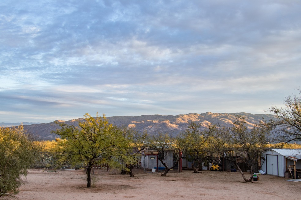 backyard view