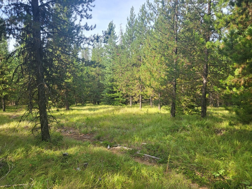 Sold • Co-Listing Agent