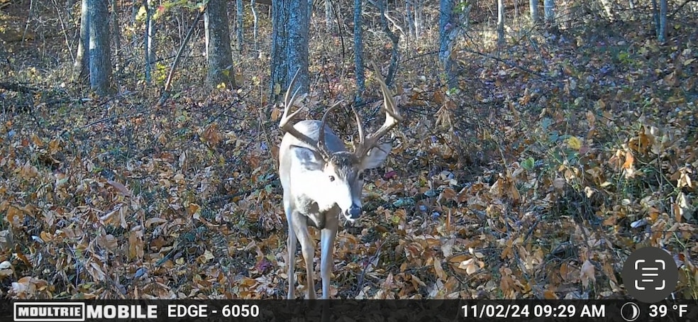 For Sale $130,000