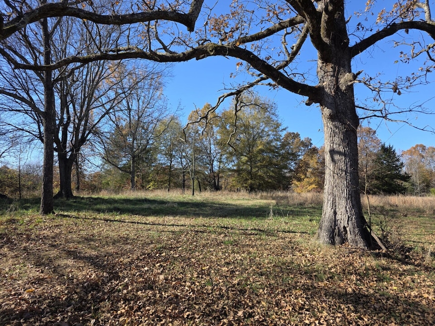 1280 Walnut Grove Rd, Newark, AR 72562 - photo 1