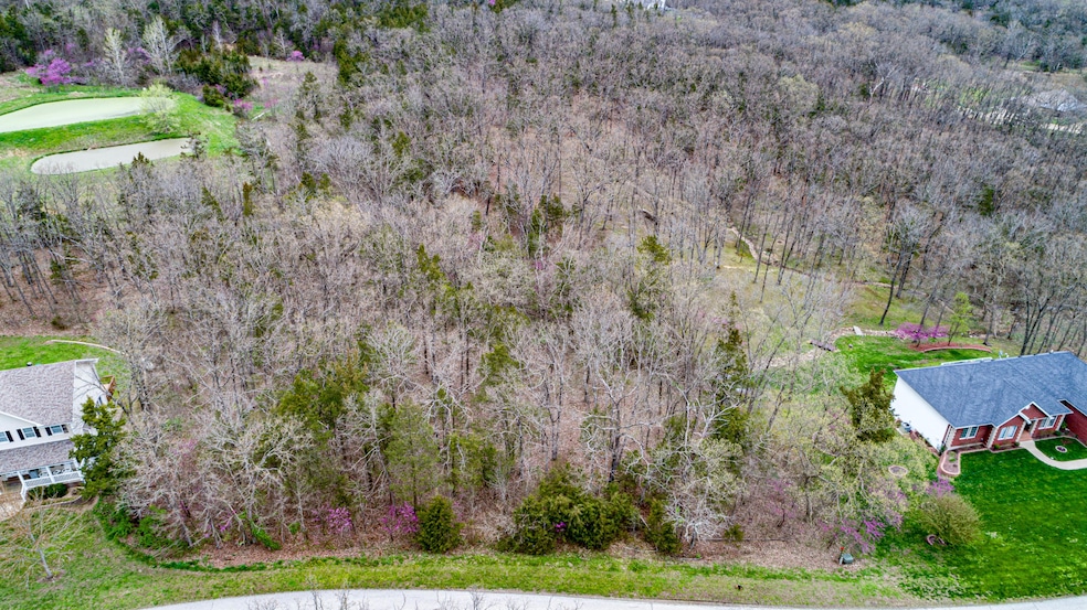 10114 Cedar Knoll Dr, Eugene, MO 65032 - photo 1