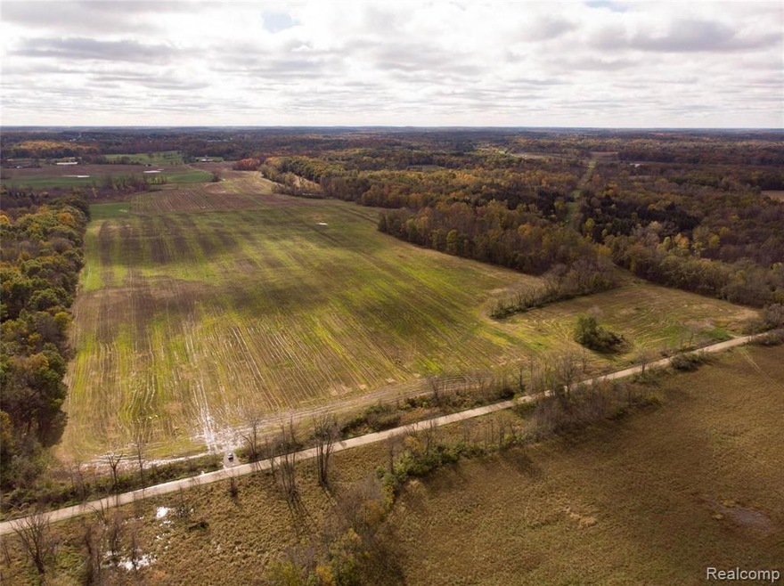 DJI_0611.jpg