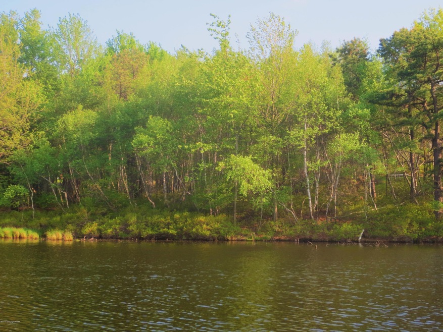 781 English Ivy Ct, Long Pond, PA 18334 - photo 1