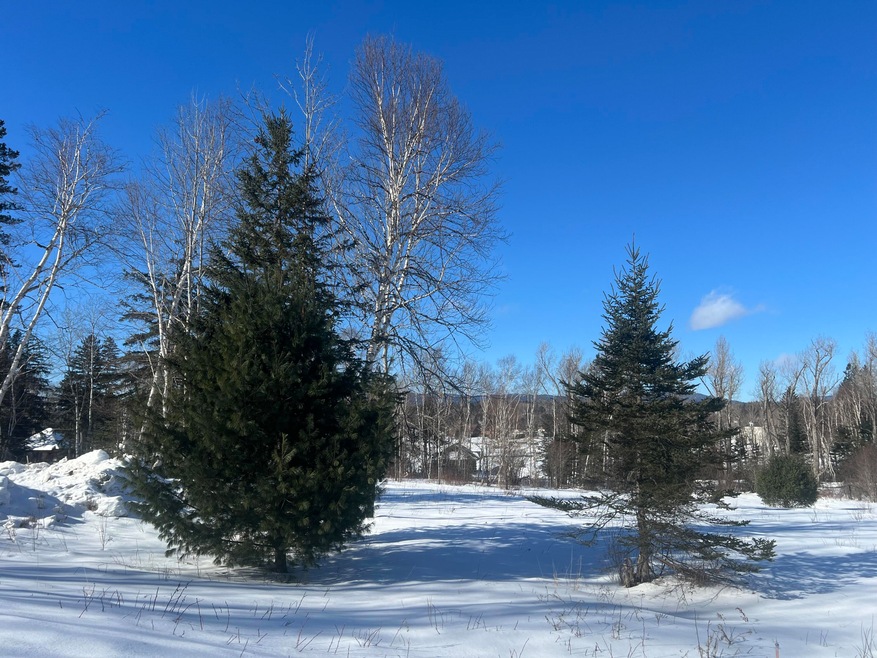 Views of Rangeley Lake